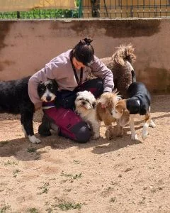 Cuidadora interactuando con un grupo de perros en residencia canina