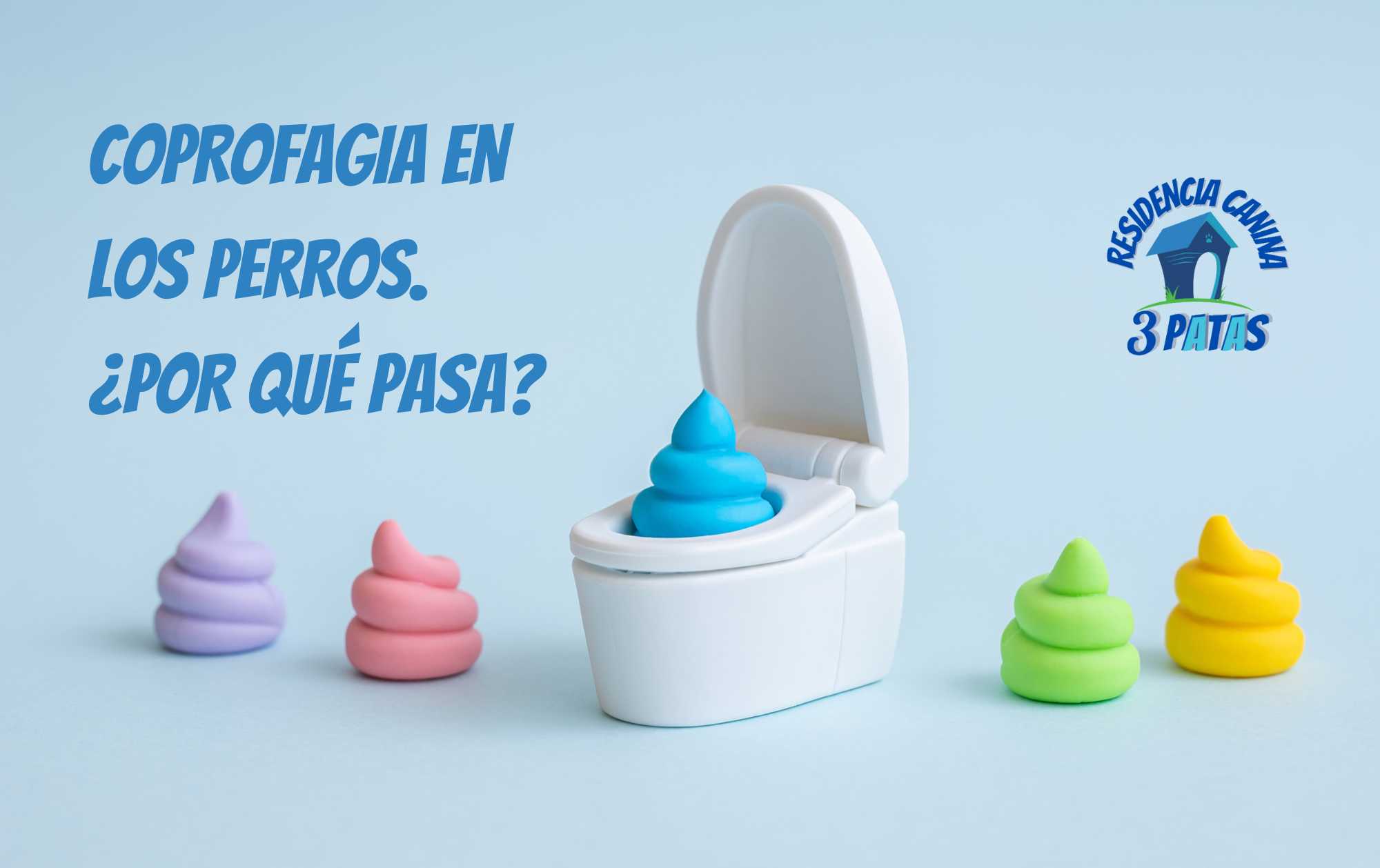 Coprofagia en perros