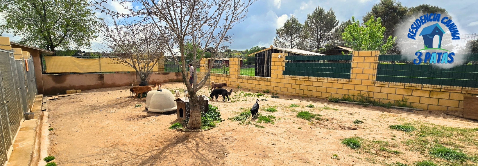 Zonas exteriores amplias y seguras para perros en residencia canina