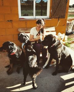 Cuidadora atendiendo a varios perros en residencia canina con trato familiar
